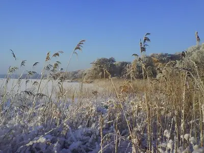 Ferienwohnung für 1 Person (22 m²) in Bad Zwischenahn 8/10