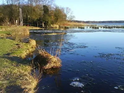 Ferienwohnung für 4 Personen (93 m²) in Bad Zwischenahn 4/10