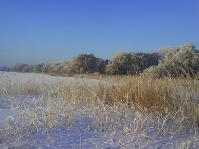 Ferienwohnung für 4 Personen (93 m²) in Bad Zwischenahn 5/10