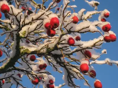 Ferienwohnung für 2 Personen (50 m²) in Bad Zwischenahn 8/10