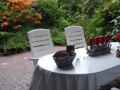 Ferienwohnung für 2 Personen (32 m²) in Bad Zwischenahn 9/10