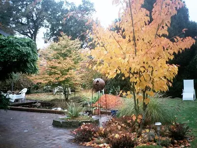 Ferienwohnung für 2 Personen (32 m²) in Bad Zwischenahn 10/10