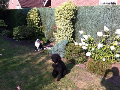 Garten Garten
