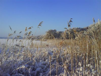 Eis auf dem See