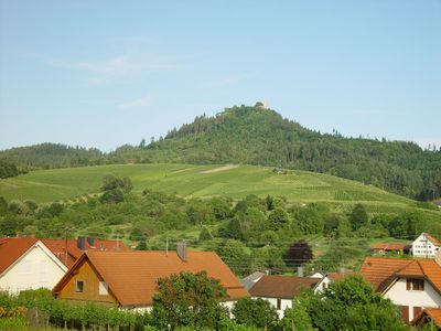 Yburg - Weinberge
