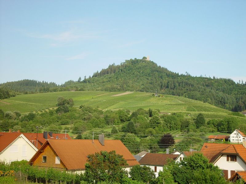 19090733-Ferienwohnung-6-Baden-Baden-800x600-2