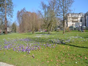 19090733-Ferienwohnung-6-Baden-Baden-300x225-5