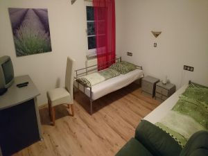 22780491-Ferienwohnung-3-Baden-Baden-300x225-5