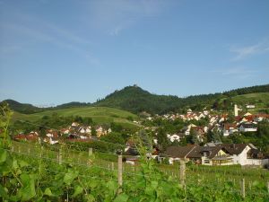 19090733-Ferienwohnung-6-Baden-Baden-300x225-3