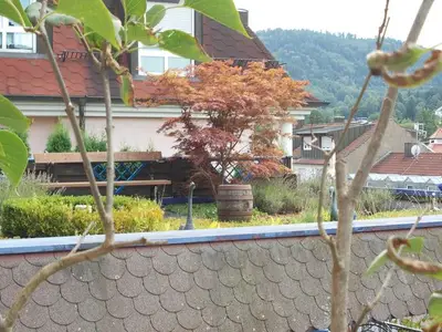 Ferienwohnung für 2 Personen (42 m²) in Baden-Baden 4/10