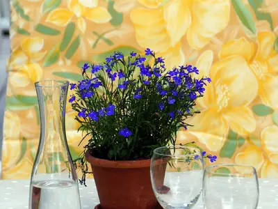 Ferienwohnung für 2 Personen (70 m²) in Badenweiler 1/3