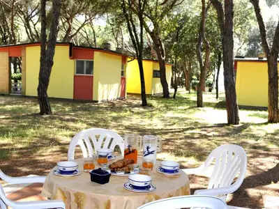 Ferienwohnung für 2 Personen (25 m²) in Baia Domizia 3/10