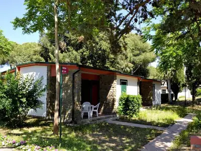 Ferienwohnung für 5 Personen (51 m²) in Baia Domizia 4/10