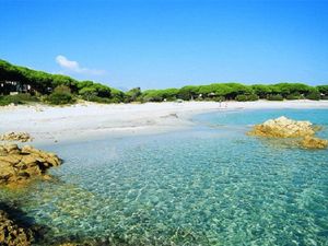 18515160-Ferienwohnung-2-Baia Sardinia-300x225-5