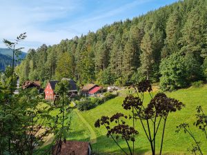 Ferienwohnung für 3 Personen ab 65 &euro; in Baiersbronn