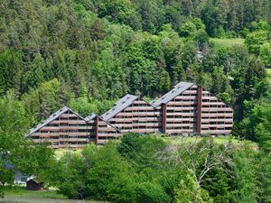 Ferienwohnung für 4 Personen (56 m&sup2;) in Baiersbronn