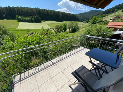 Südbalkon Blick nach West, Hasen, Rehe