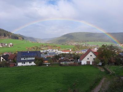 Garten. Spiel- und Liegewiese