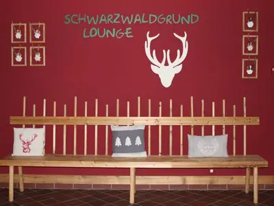 Ferienwohnung für 3 Personen (37 m²) in Baiersbronn 4/10