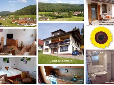 Ferienwohnung für 2 Personen (45 m²) in Baiersbronn 8/10