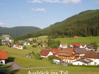 Ferienwohnung für 2 Personen (45 m²) in Baiersbronn 9/10