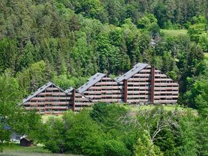 Ferienwohnung für 4 Personen (56 m&sup2;) in Baiersbronn