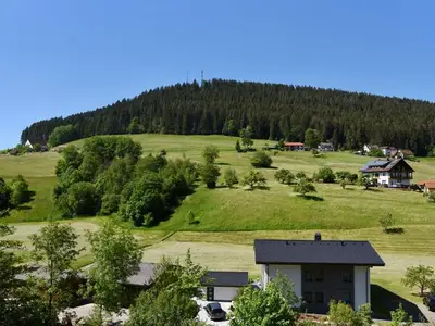 Ferienwohnung für 4 Personen (56 m²) in Baiersbronn 5/10