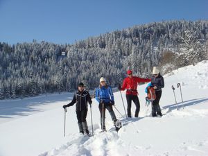 23840314-Ferienwohnung-4-Baiersbronn-300x225-2