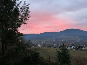 22423275-Ferienwohnung-4-Baiersbronn-300x225-5