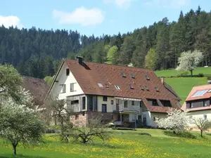 Ferienwohnung für 4 Personen (62 m²) in Baiersbronn