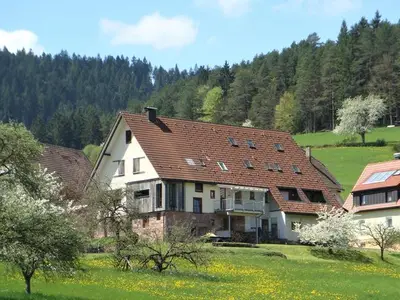 Ferienwohnung für 4 Personen (62 m²) in Baiersbronn 1/10