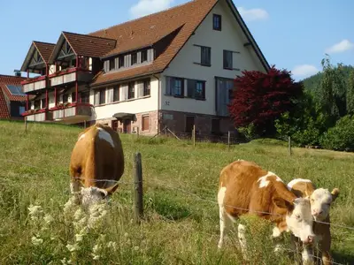 Ferienwohnung für 4 Personen (62 m²) in Baiersbronn 3/10