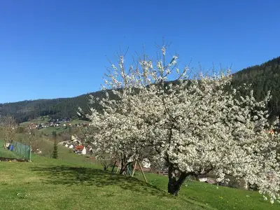 Ferienwohnung für 4 Personen (62 m²) in Baiersbronn 7/10