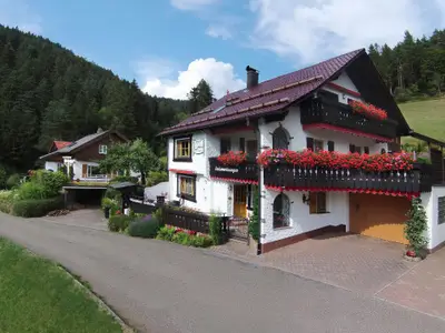 Haupthaus mit FeWo Weissenbach parterre -  Eingangsbereich- sonnige  Terrasse