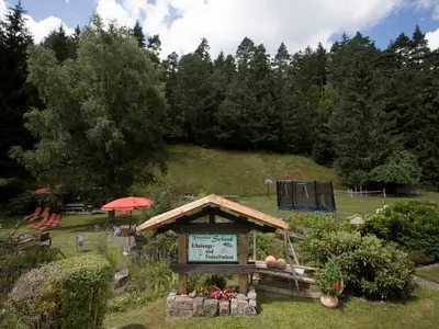 hier geht es zu Freizeitwiese