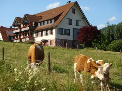 Hausansicht Weide