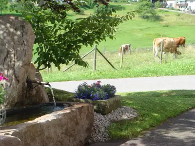 Brunnen