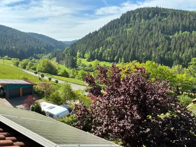 Klosterquelle, Aussicht Reichenbachtal