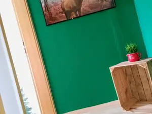 Ferienwohnung für 4 Personen (35 m²) in Baiersbronn