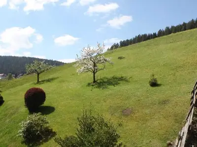 Ferienwohnung für 5 Personen (64 m²) in Baiersbronn 7/10