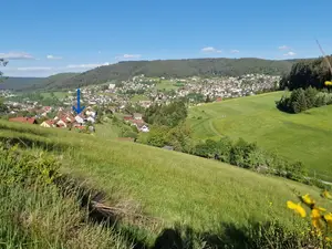 Ferienwohnung für 4 Personen (67 m²) in Baiersbronn