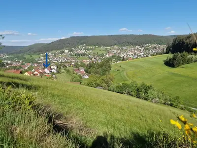 Direkte Umgebung des Objekts. Lage mit Blick auf Baiersbronn