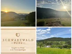 Ferienwohnung für 2 Personen (50 m²) in Baiersbronn