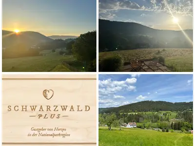 Blau und cremefarben Reise  Urlaubspläne Foto Coll