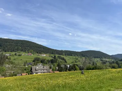 Panoramablick