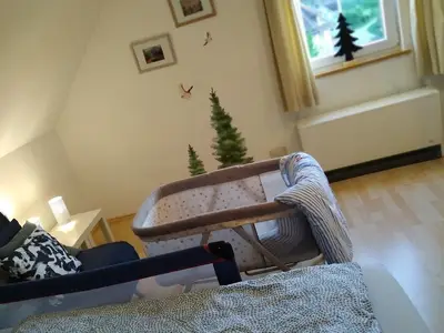 Ferienwohnung für 4 Personen (35 m²) in Baiersbronn 7/10