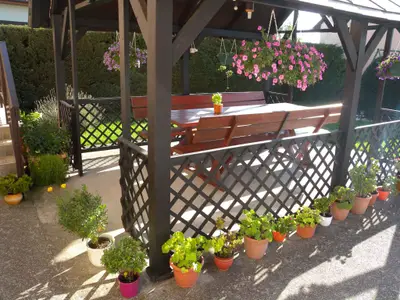 Ferienwohnung für 4 Personen (60 m²) in Balatonberény 2/10