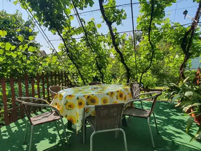 Ferienwohnung für 4 Personen (120 m²) in Balatonboglár 8/10