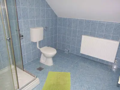 Ferienwohnung für 10 Personen (100 m²) in Balatonfenyves 6/10