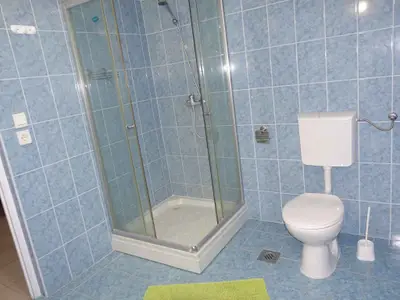 Ferienwohnung für 10 Personen (100 m²) in Balatonfenyves 10/10